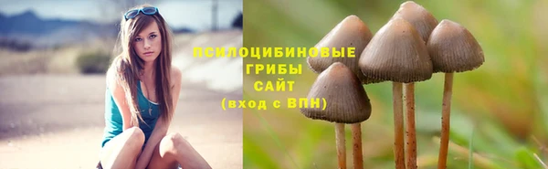 дмт Балабаново