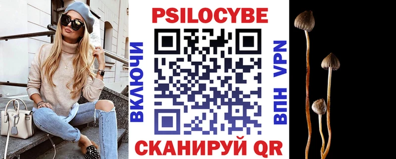 shop наркотические препараты где продают Гудермес Псилоцибиновые грибы мицелий