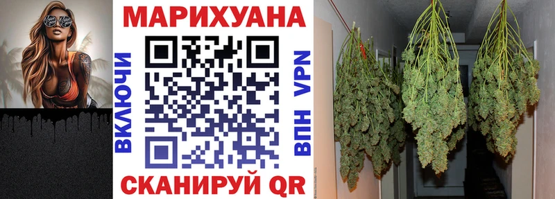 Бошки марихуана гибрид  закладка  Гудермес 